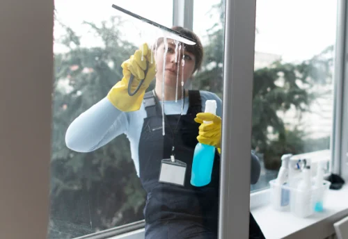 Nettoyage de vitres intérieures et extérieures à Brévilly